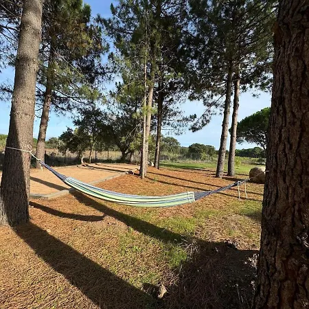 Casa Di Sognu ليسي