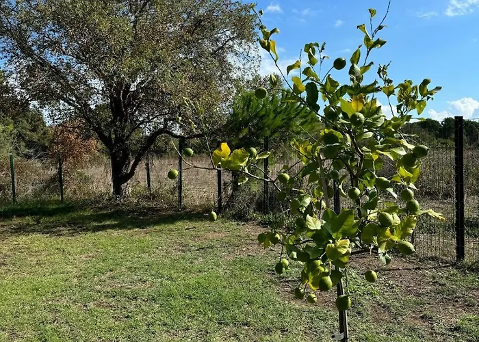 Casa Di Sognu * Lecci