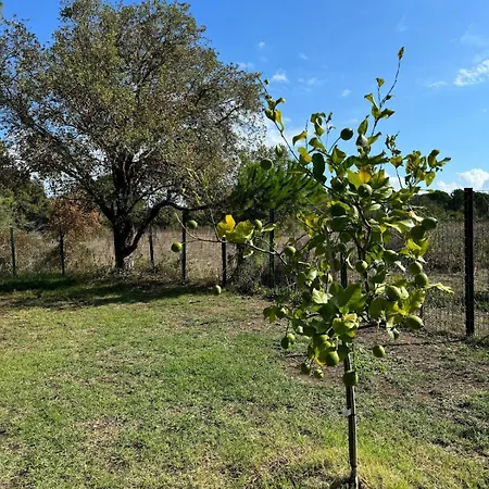 Casa Di Sognu * Lecci