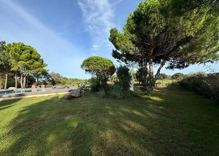 Casa Di Sognu וילה לצ'י