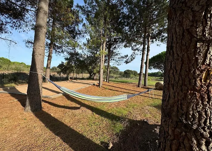 Casa Di Sognu לצ'י